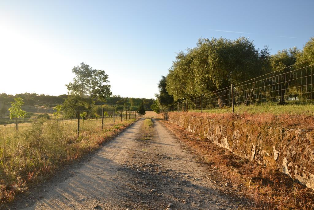 Quinta Dos Carvalhos Villa Кастело Бранко Екстериор снимка