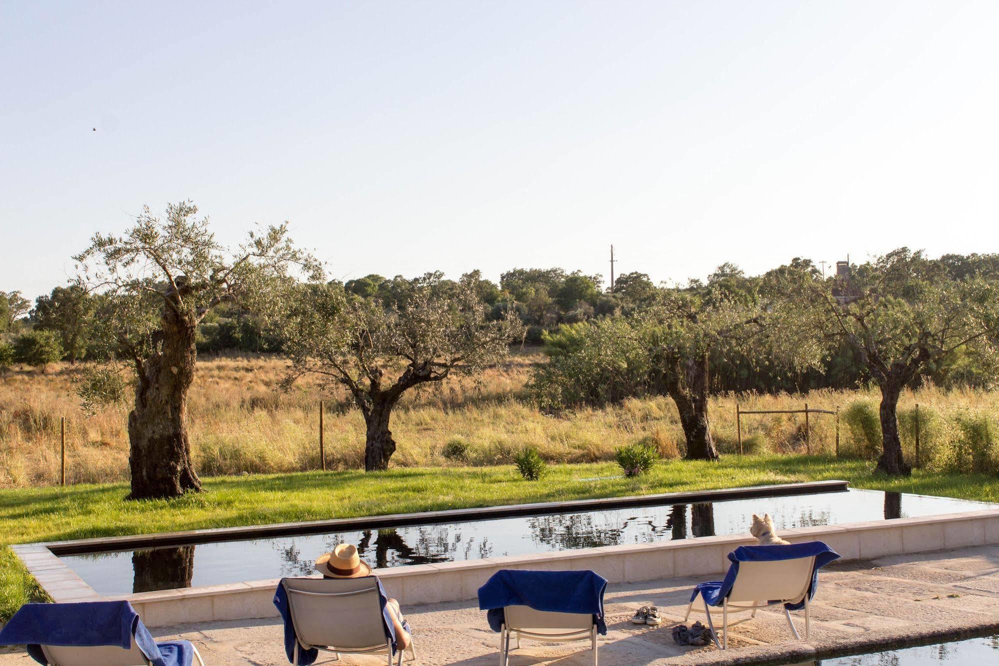 Quinta Dos Carvalhos Villa Кастело Бранко Екстериор снимка