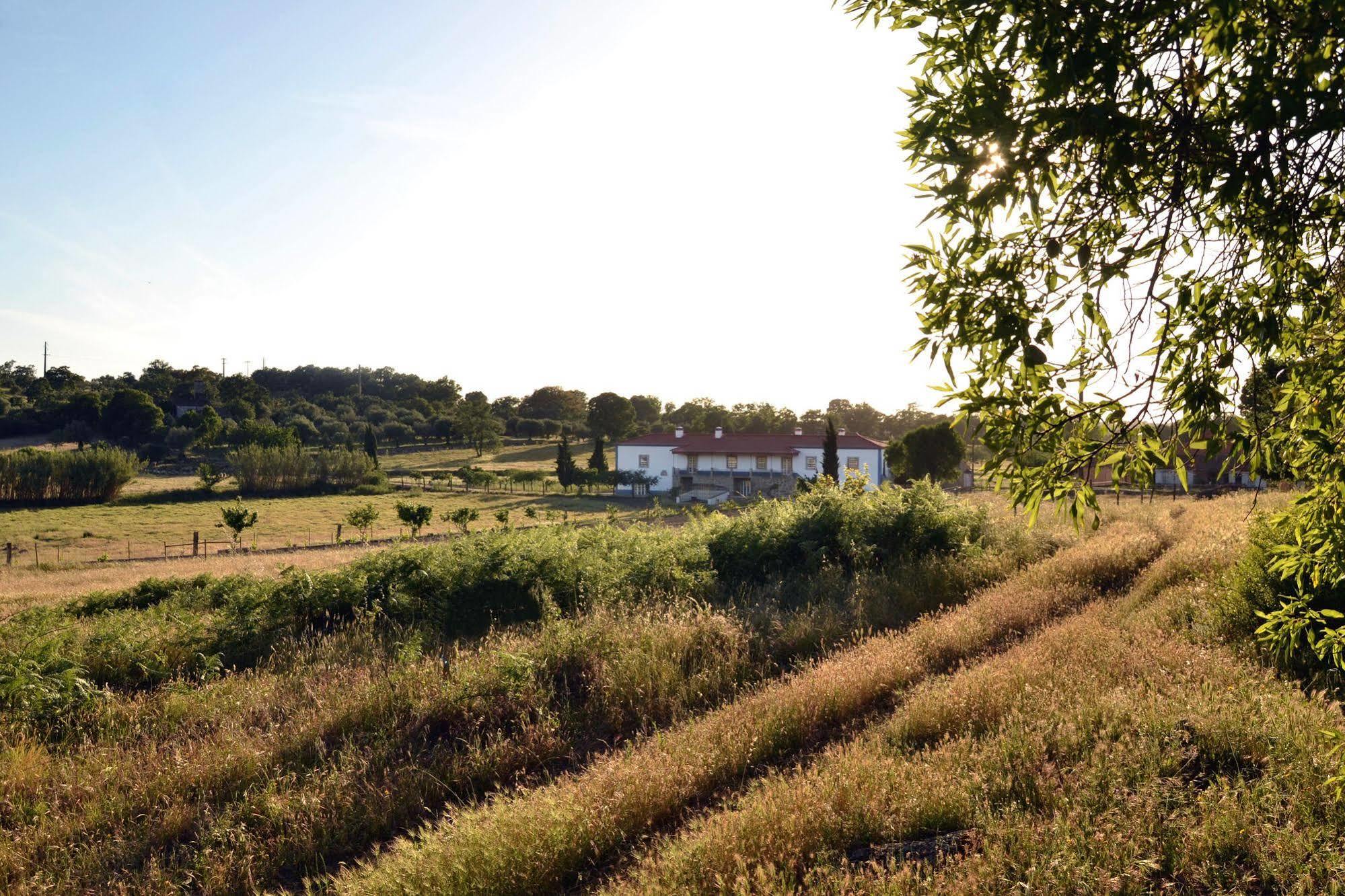 Quinta Dos Carvalhos Villa Кастело Бранко Екстериор снимка